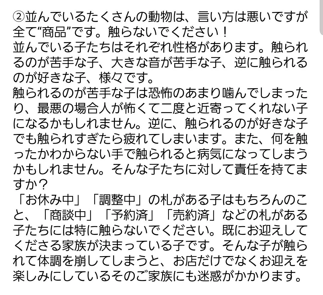 ペットショップの迷惑行為が夏休みに増える⁉知っておきたいマナーとは？