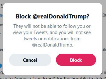 Dave_Enna's tweet image. The time is now. Take a stand. Get your life back. Say goodbye to @realDonaldTrump&apos;s trolling tweets. #BlockTrump #ReturnToSanity