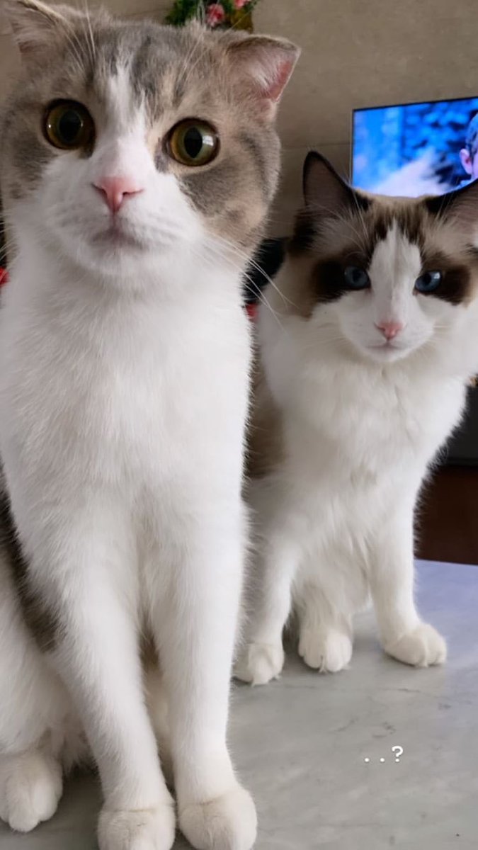 แอริน กรกุลวัฒนา🧸 tweet media