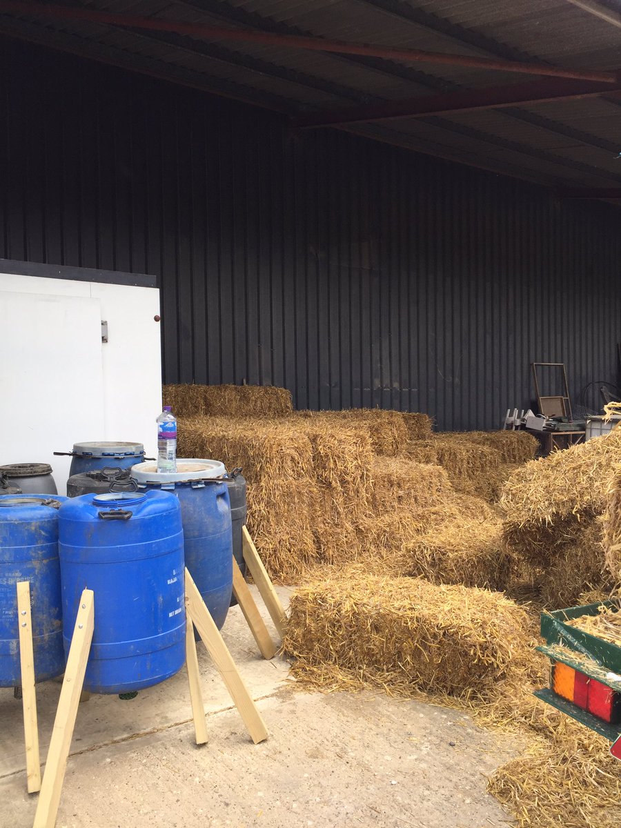 Nealcoles3's tweet photo. This afternoon up at rectory farm, the farm has kindly baled up for us.....only problem is there’s just me to stack it all under the lean too! #strawstack https://t.co/ubmBQ2e6Dv