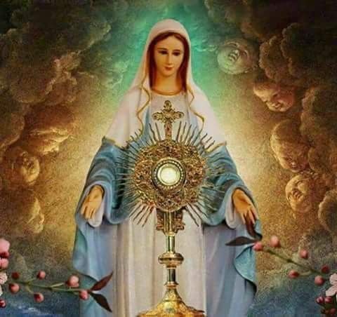 EsmeraldaKiczek's tweet photo. Eternal Son of the living God, Whom I here acknowledge really present!  I adore Thee with all the powers of my soul.  Prostrate with the Angels in the most profound reverence, I love Thee, O my Saviour ... Save me, forgive me!  -St Basil #Jesus #Catholic https://t.co/4W10a9UPcs