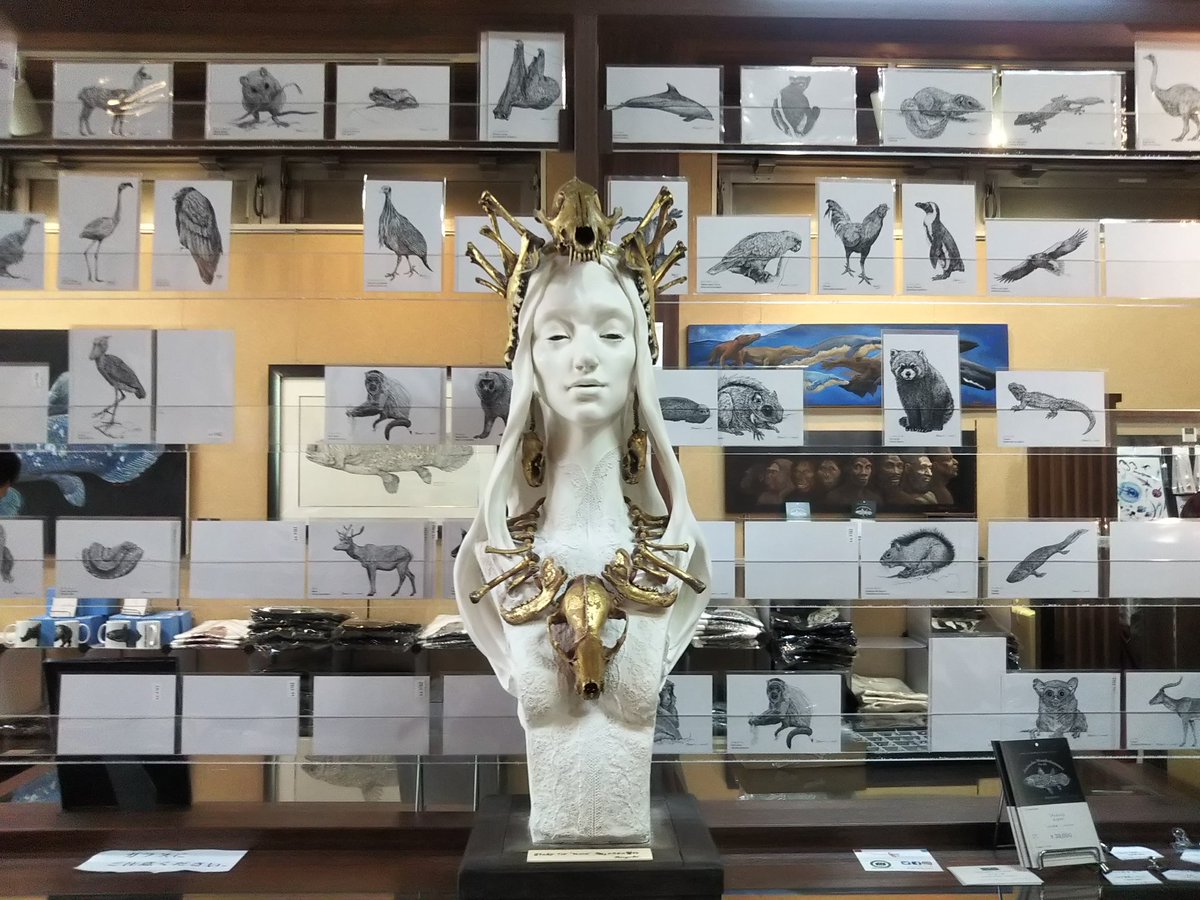 黒織部 Pa Twitter 今年も神保町ヴンダーカンマーへ 博物への愛があふれるアイテムがもりだくさん 神保町ヴンダーカンマー