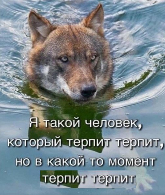Zmicerz's tweet photo. https://t.co/Yr2YO9FHcE