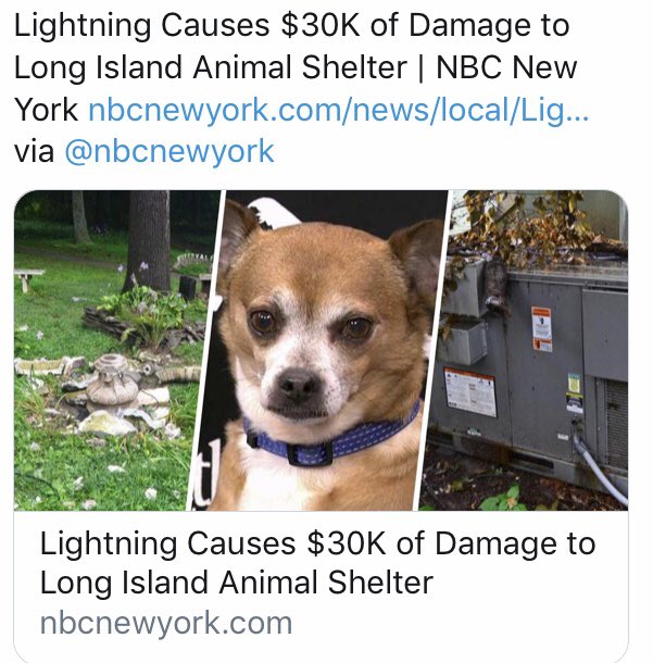 littleshelter's tweet photo. Lightning Causes $30K damage at Little Shelter. HELP - Lightning Destroys Little Shelter Cattery AC Unit. To donate 👇https://t.co/RxgDtfoVY5… #please #share #RETWEEETME #lightningdamage https://t.co/NIto5uUsO2