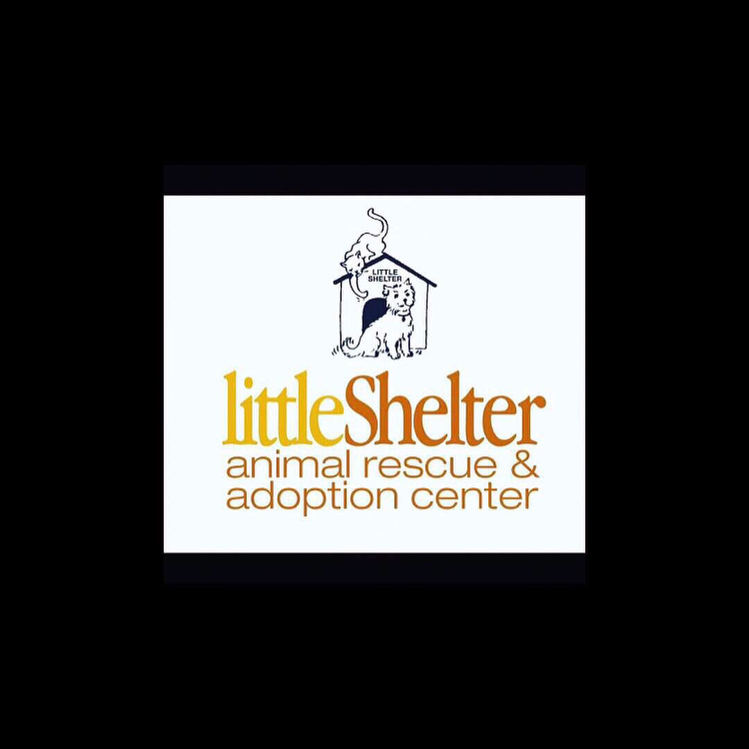 littleshelter's tweet photo. Lightning Causes $30K damage at Little Shelter. HELP - Lightning Destroys Little Shelter Cattery AC Unit. To donate 👇https://t.co/RxgDtfoVY5… #please #share #RETWEEETME #lightningdamage https://t.co/NIto5uUsO2