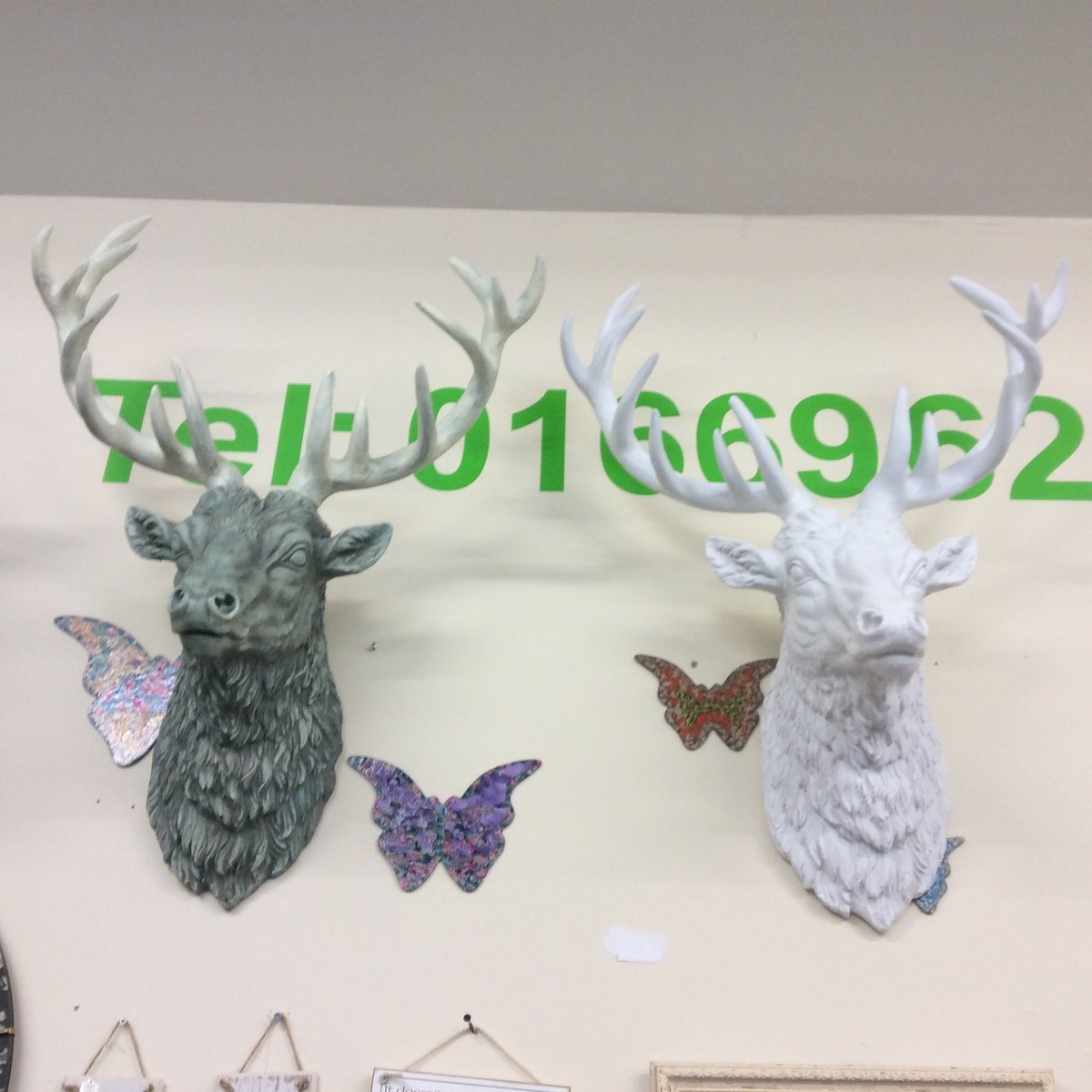 PotsPaws's tweet image. Large selection of #stags in pots&amp;amp;paws #rothbury