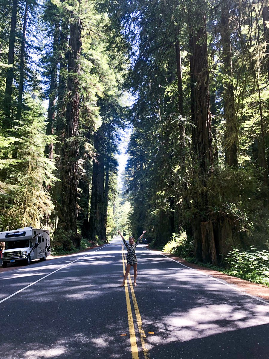 jennyhardmantv's tweet photo. I spy with my little eye. . . 🌳🌲 #redwoodnationalpark #amonggiants #feelingtiny https://t.co/HHSADvYBXq