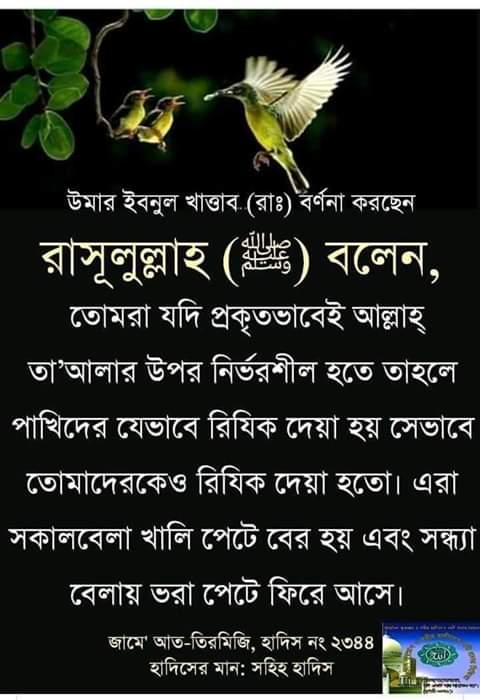 A1IslamicWorld's tweet photo. Islamic life https://t.co/KOPKQVKKOE