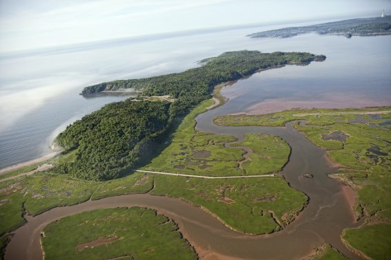 Irving Nature Park in Saint John, New Brunswick, Canada