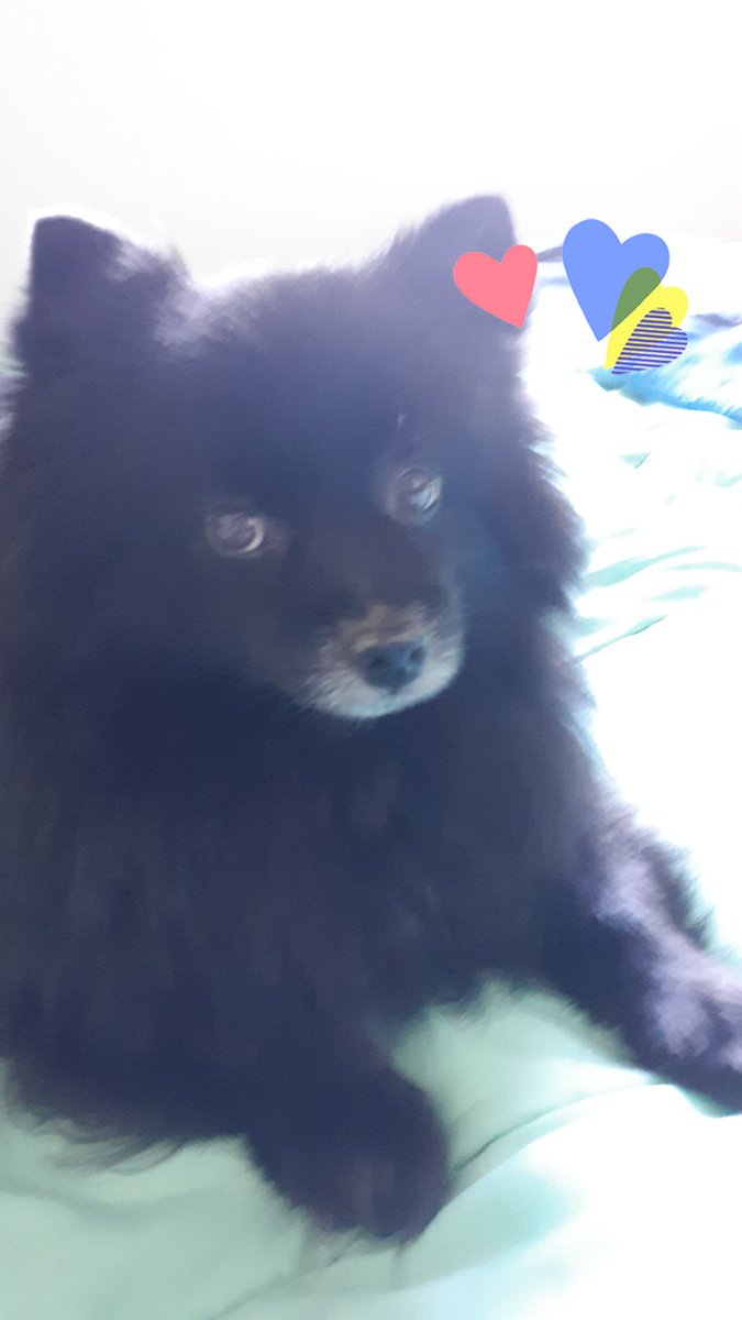 Happy Sunday pals! I hope everyone is doing good! 😘😘😘