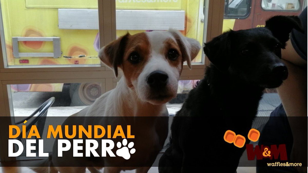 WandM_Mexico's tweet photo. A nuestros clientes más consentidos: ¡Feliz Día! #PetFriendly #WafflesAndMore #DíaMundialDelPerro https://t.co/A1SkIVi5U6