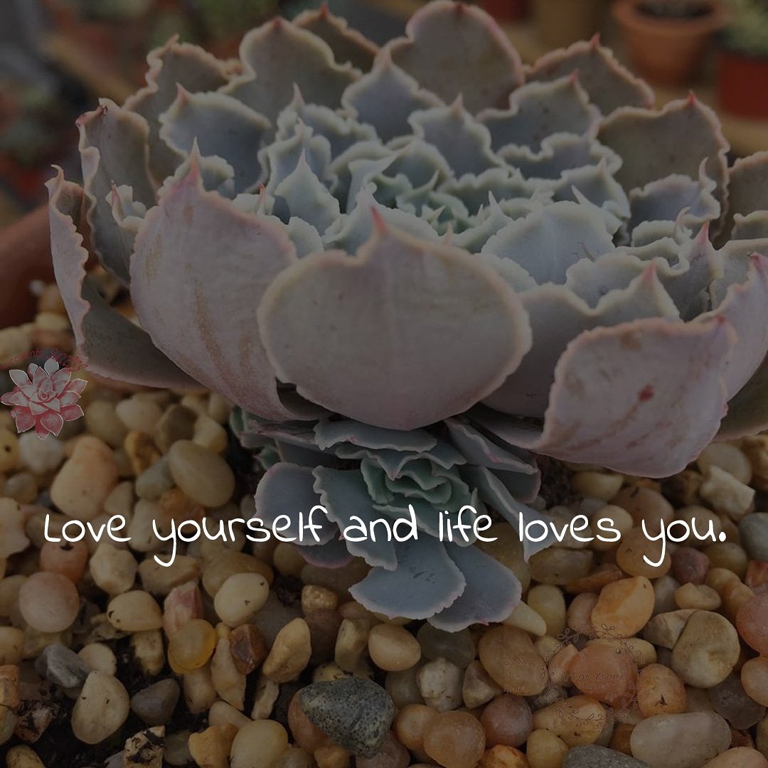 #love #yourself and #life #loves #you #succulents #success #quotes @ArborCreekNiag - Like for more success - Follow us for more success quotes @SucculentsSucc1