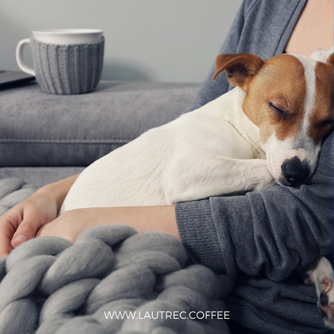 #DiaMundialDelPerro l No hay nada mejor que un buen #café en compañía de tu perro. 🐶☕
#FelizDomingo