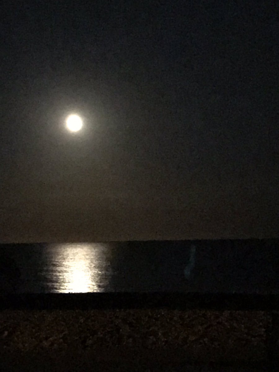 buddaofeuston's tweet photo. What a luny week it’s been 🌚 https://t.co/ELrgVIr3Pe