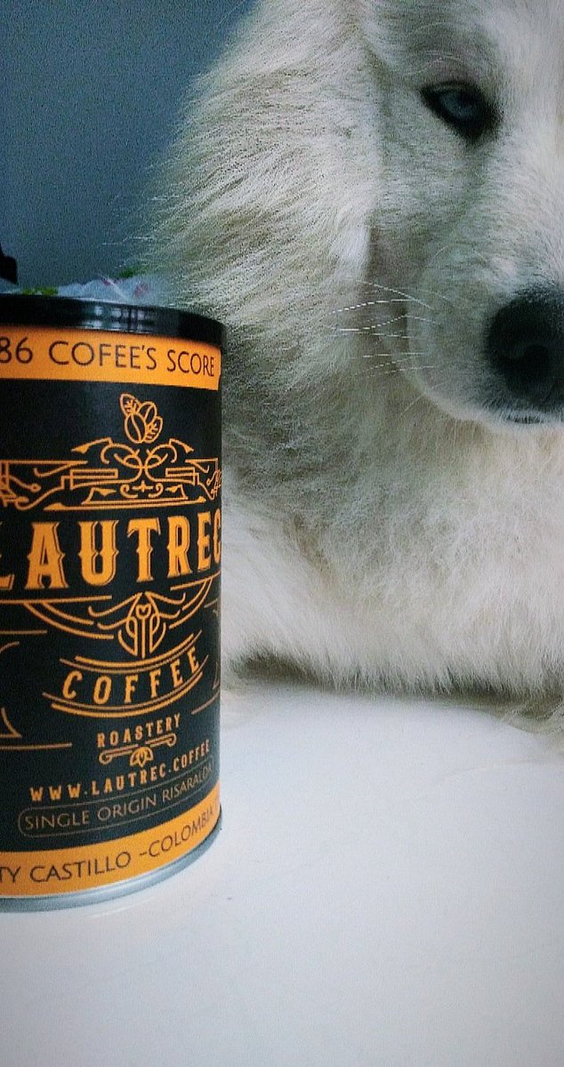 #DiaMundialDelPerro l El mejor despertador siempre será tu perro y un delicioso #café especial. 🐶☕
#FelizDomingo