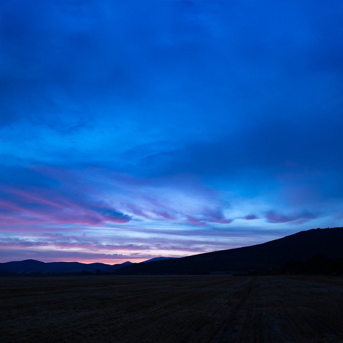 trickyshutter's tweet image. When you have to wake up at 4:00am, halfsleeping walk like a zombie to the garden, trying not to forget stuff for shooting and after slightly opening the eyes you see this - it is like a shot of caffeine directly to the veins. 

#naturephotography #landscapephotography #sunrise