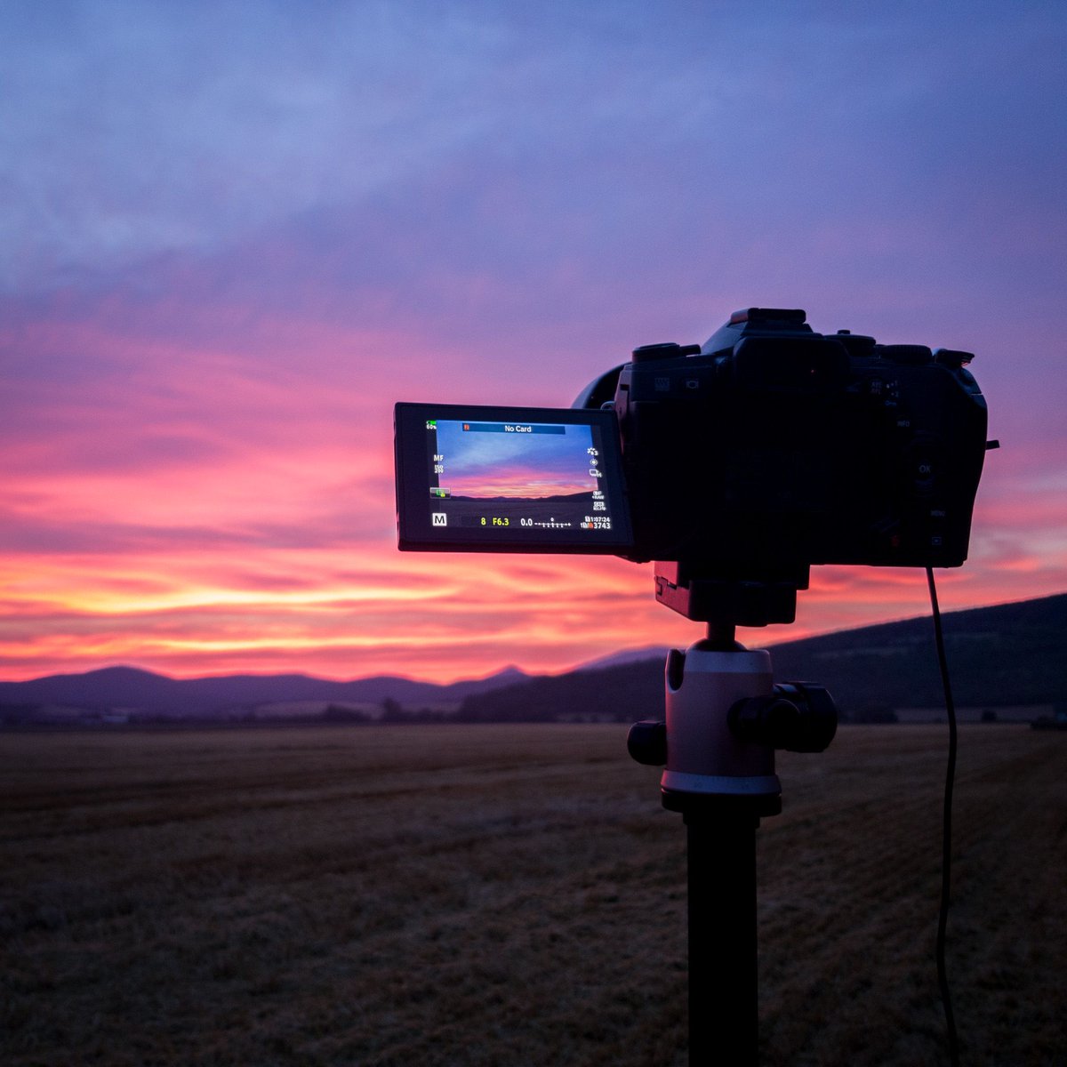 trickyshutter's tweet image. When you have to wake up at 4:00am, halfsleeping walk like a zombie to the garden, trying not to forget stuff for shooting and after slightly opening the eyes you see this - it is like a shot of caffeine directly to the veins. 

#naturephotography #landscapephotography #sunrise
