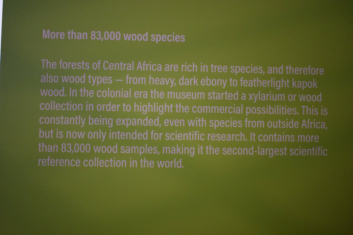 This looks like a library, but is actually a xylarium, a collection of wood samples that people in positions of imperial and colonial could browse to choose the types of wood they wanted their furniture to be built of. (We have examples of Latin American xylaria in Spain, too.)