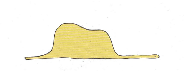 Andrés Diplotti 🇦🇷 tweet media