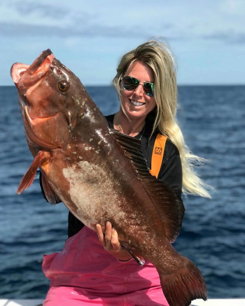 Group shot!
.
#coastalfishing #coastalfishingco #coastalrod #grouper #grouperfishing #grouperfishing #saltwater #ocean #oceanfishing #deepdrop #deepdropfishing #saltwaterfishing