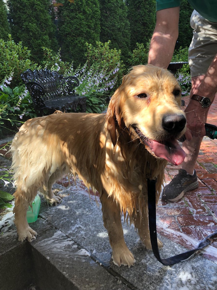 Elizabeth Warren tweet media