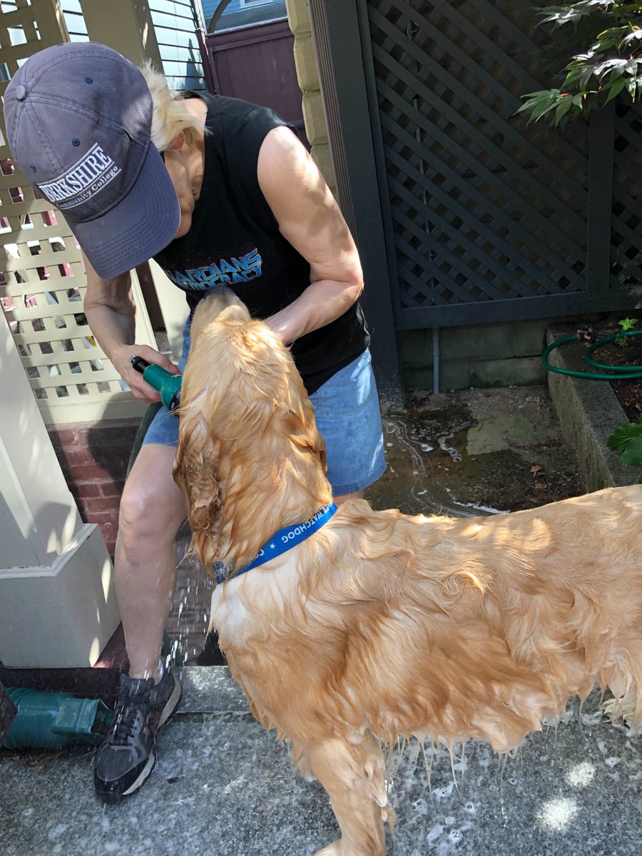 Elizabeth Warren tweet media