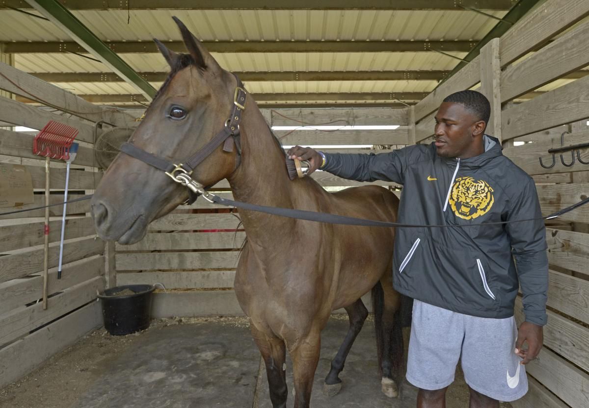theadvocatebr's tweet photo. Daisy Mae, the horse that Devin White rode through Tiger Stadium, died this weekend. Here's what the former Tiger had to say about his beloved pet. https://t.co/ma9py1zSBV https://t.co/hMlxnFRL5t