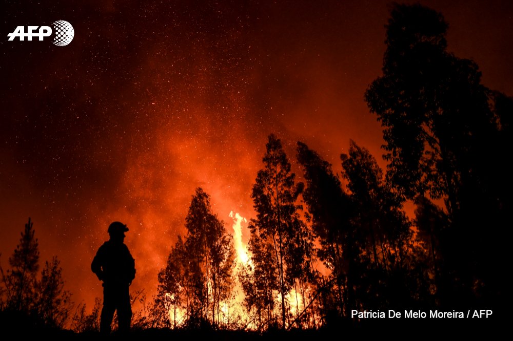AFP's tweet photo. 🇵🇹 Planes and helicopters joined nearly 2,000 firefighters in central Portugal to battle huge wildfires in a mountainous region https://t.co/ICrNTUYwU3 https://t.co/7TLm1wHad8
