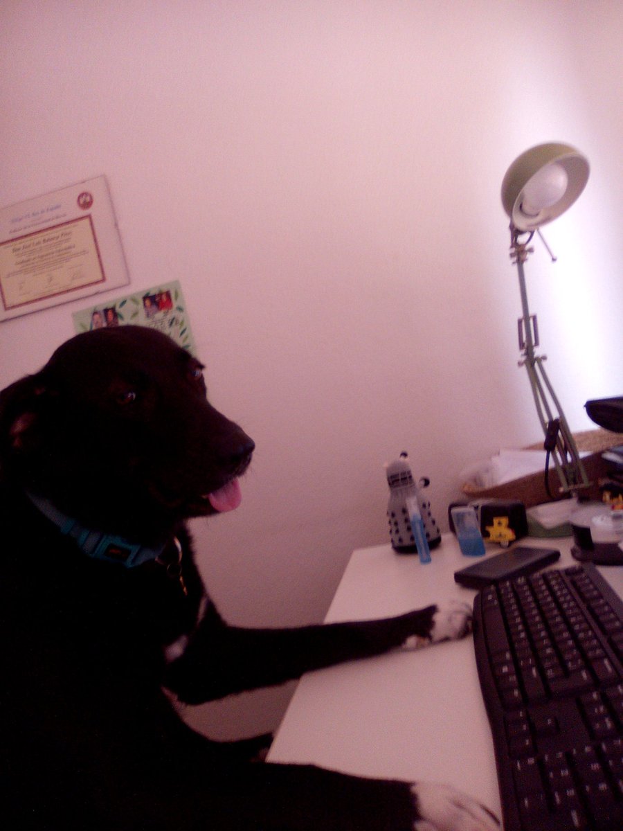 Balanzini's tweet photo. #DiaMundialDelPerro https://t.co/4blMFz49nv
