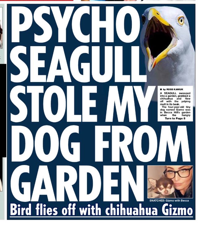 AndyHa_'s tweet image. Oh my god.