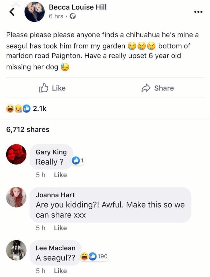 AndyHa_'s tweet image. Oh my god.