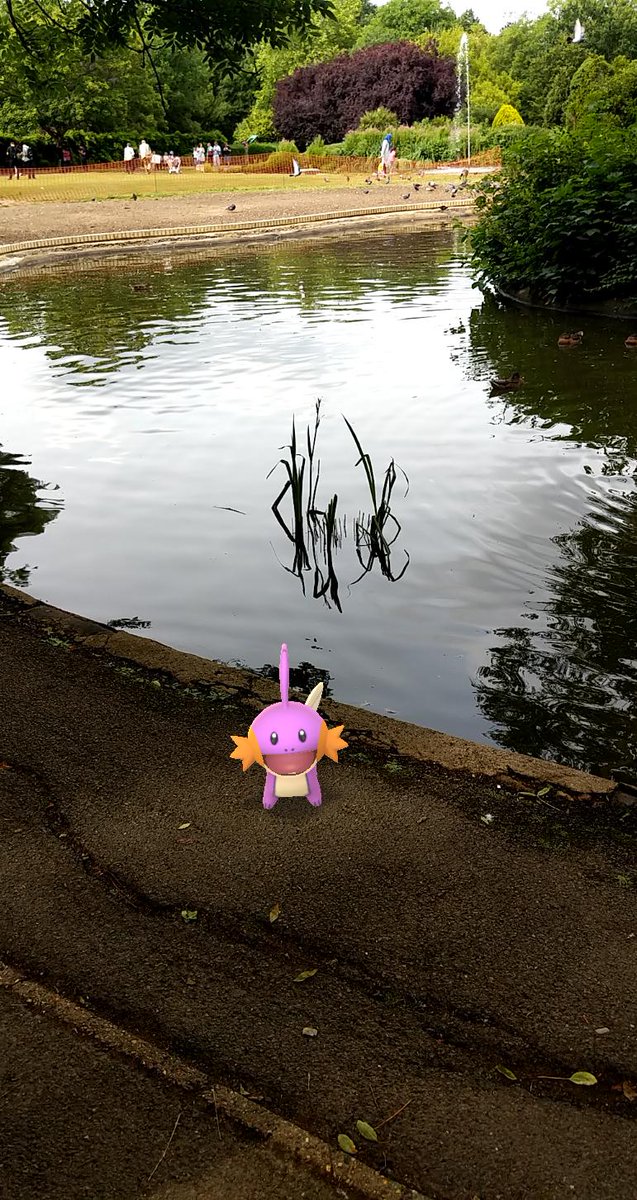 Hassan68539655's tweet photo. Mudkip marshtop &amp; swamput #GOsnapshot  #PokemonGOCommunityDay  #pokemongo #pokemon #wow #lake #naturalhabitat https://t.co/00jX9FPM9Y