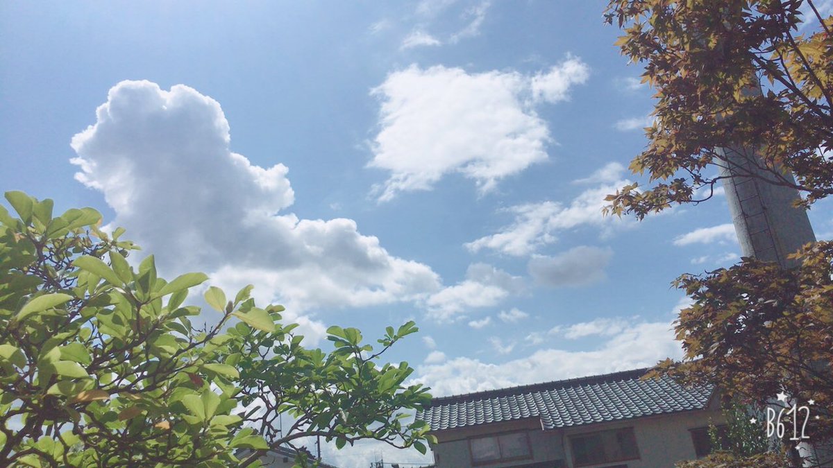 _3lx's tweet photo. この自分の家から見えるこの景色がすきなんだよなぁ。実家の部屋から見える景色もすきだよ。 https://t.co/Ouij3EXLfc