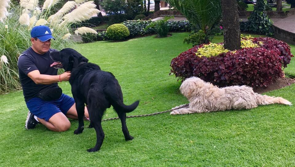 A propósito del #DíaDelPerro les presumo a Sambuka y Algodón, integrantes de la familia. 

¡Cuidemos y procuremos a los animales! 🐕