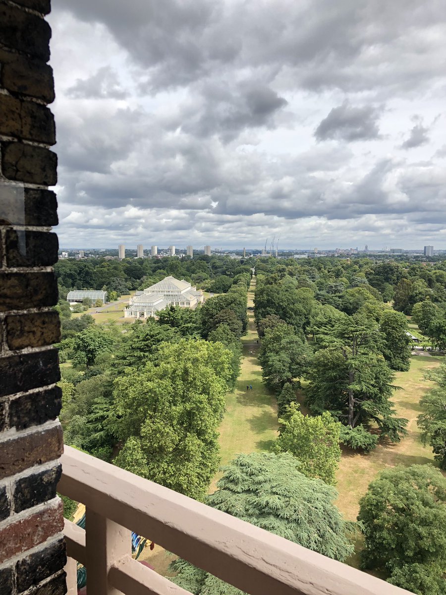 duncan_vincent4's tweet photo. View from the great pagoda Kew Gardens #26thweddinganaviversaryweekendaway #lotsofplants #ratherbewatchingBSBsnetterton #noresultsplease https://t.co/pAEeRxVdDR