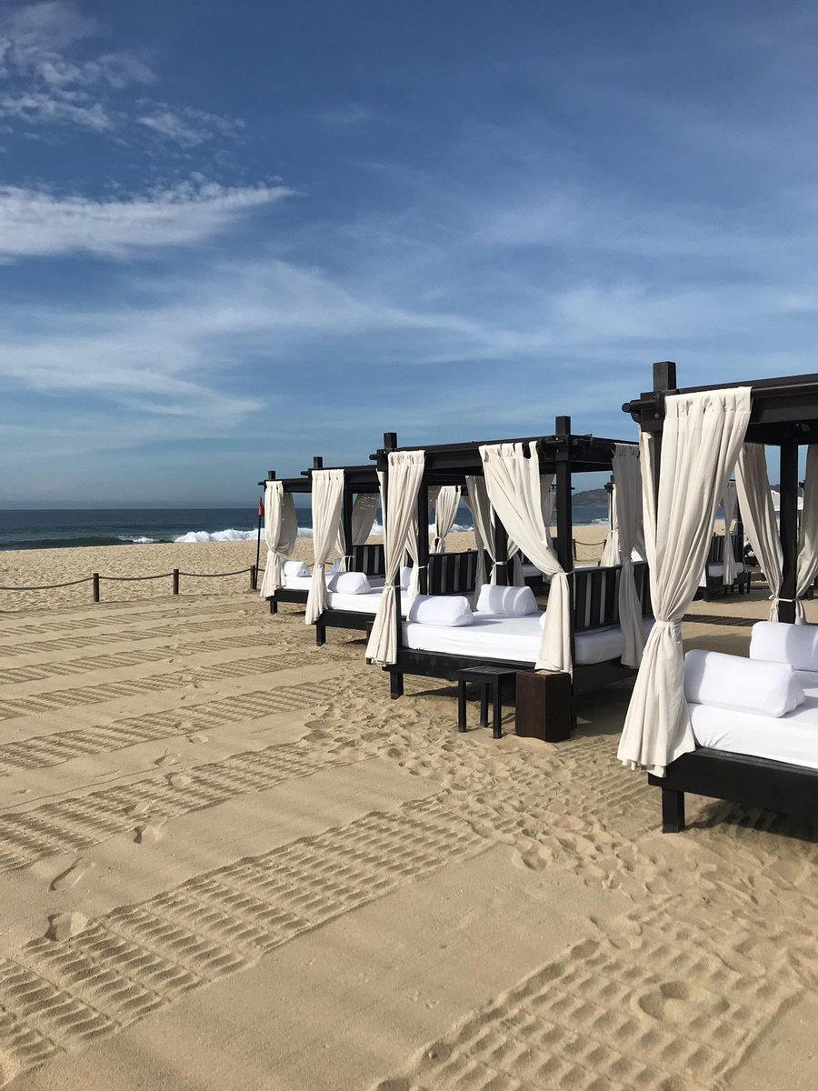 Nicola dow tweet media