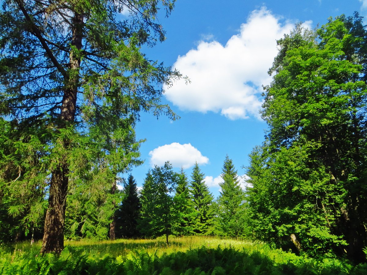 Kippalainen's tweet image. Poutapilvet purjehtivat  💙⛅️😊

#valokuvaus #luonto #pilvi #Helsinki #Finland 
#photo #nature #clouds