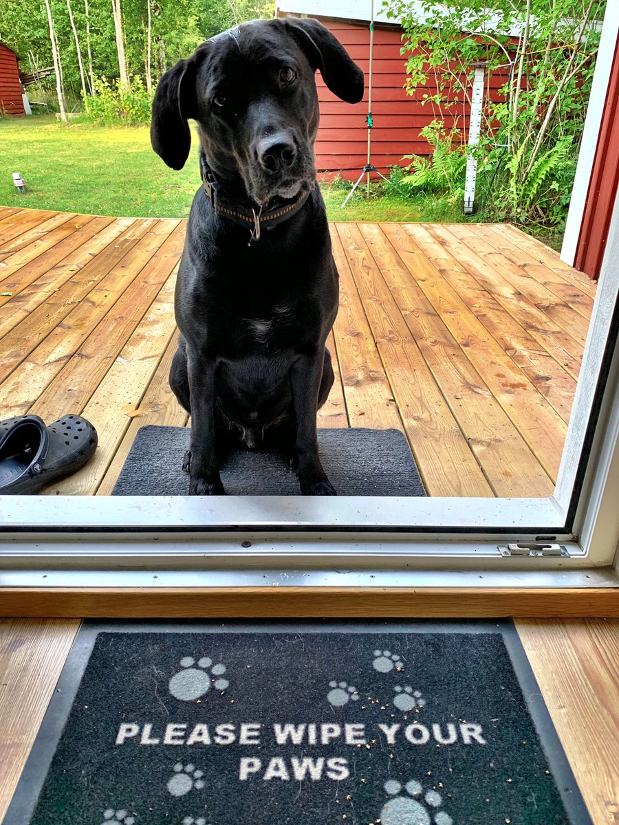 AlexanderGemeinhardt tweet media