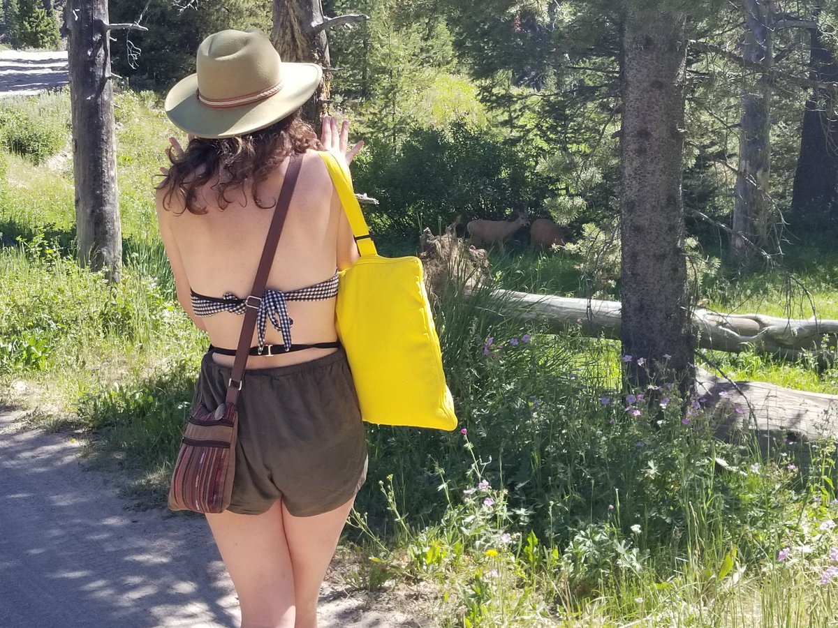 dropthemc's tweet photo. Thank @MarishaEAllen for capturing me ftfo bc we saw some beautiful bbs on our camping trip ๐ #favanimal https://t.co/Ui3ghxOzYj