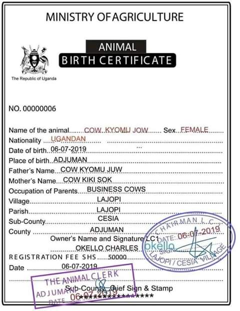 Leomoi61's tweet photo. If this is right then I expect even cockroaches will soon be entitled to birth certificate in Uganda. It's rare to get such comedy https://t.co/sXgQ3cZItn