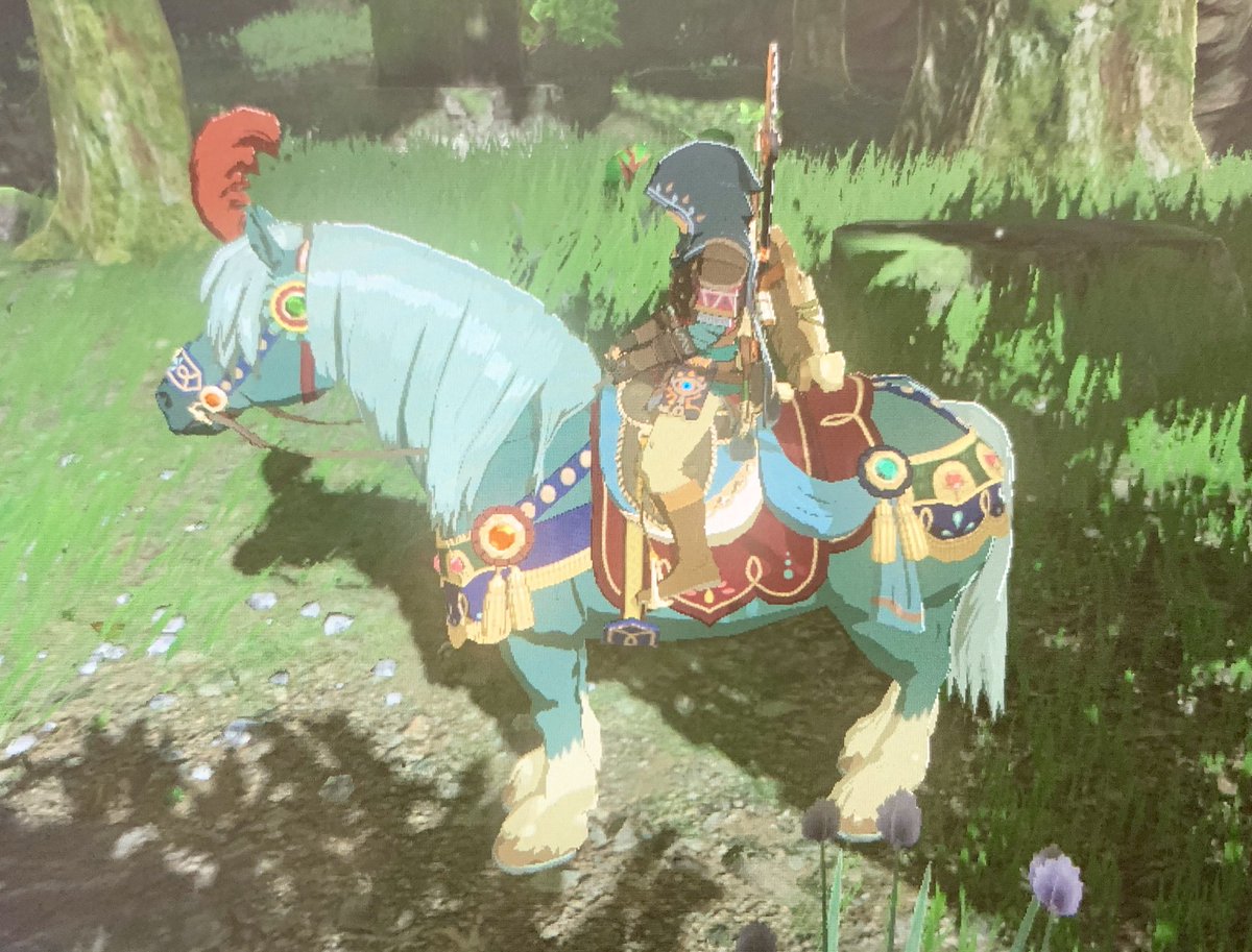 shizakein's tweet photo. J’étais destiné à jouer à Zelda 🧝🏻‍♀️
Ma manette est aux couleurs de mon cheval et mon avatar c’est #Asarim ❤️ https://t.co/nRdkoK6Cii