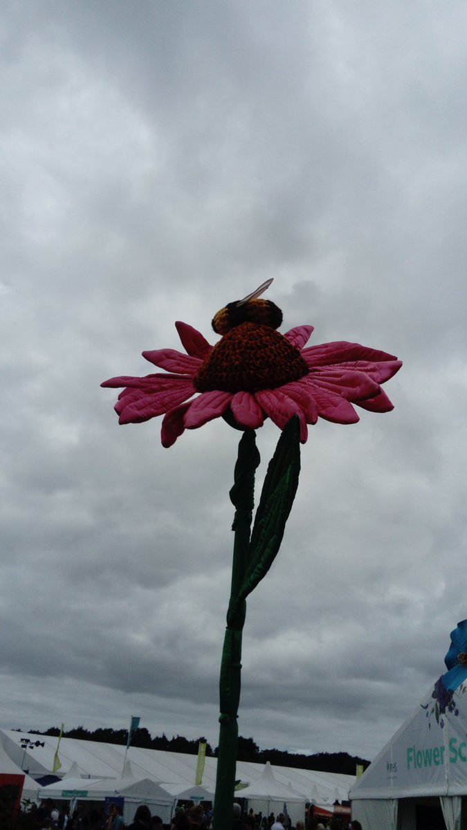 AndrewSalisbur2's tweet photo. A fantastic #RHSTatton show, thank you to the team @Isobelcou (the staff, marshals, caterers, voluntees etc.), the lovely visitors, the gardens and the fab team on #bughub (@FDrizou @hayleyento, @BoshoffLien, @I_Cavadino, @FranciscaSconce, @Symphlythebest, @mr_plantgeek) https://t.co/n3YufKYqdU