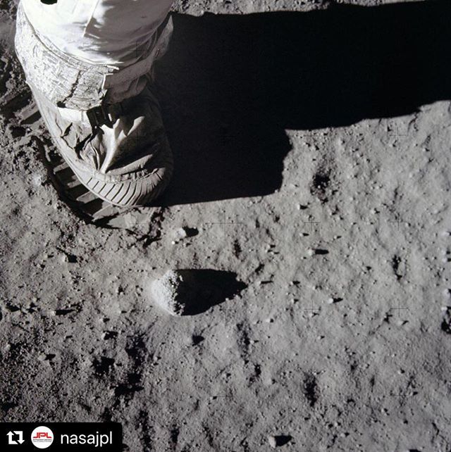 ms_truemper's tweet photo. Fifty years ago, 650 million people watched @NASA make history. Join us in reliving the moon landing in our story and bio link: https://t.co/zYpPXjWdOv
#Moon #themoon #apollo11 #apollo50th #moonlanding #NASA #JPL #NASAJPL #moonprogram #lunar #lunarpro… https://t.co/djFtv7usTr https://t.co/qUjeCePqZ9