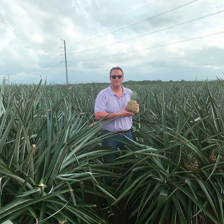Jupiter__Group's tweet photo. Brilliant 📸 of CEO Mark on our #Pineapple farm in Costa Rica.
Get in touch if you want to get your hands on them too 👉
#Fruit #fruits #GlobalGrower #Jupiter #JupiterGroup #Sunday #SundayFunday #costarica #costarica🇨🇷 #USA #JupiterFruit #CEO #CeoLife #ceomindset https://t.co/N9uvS3TieH
