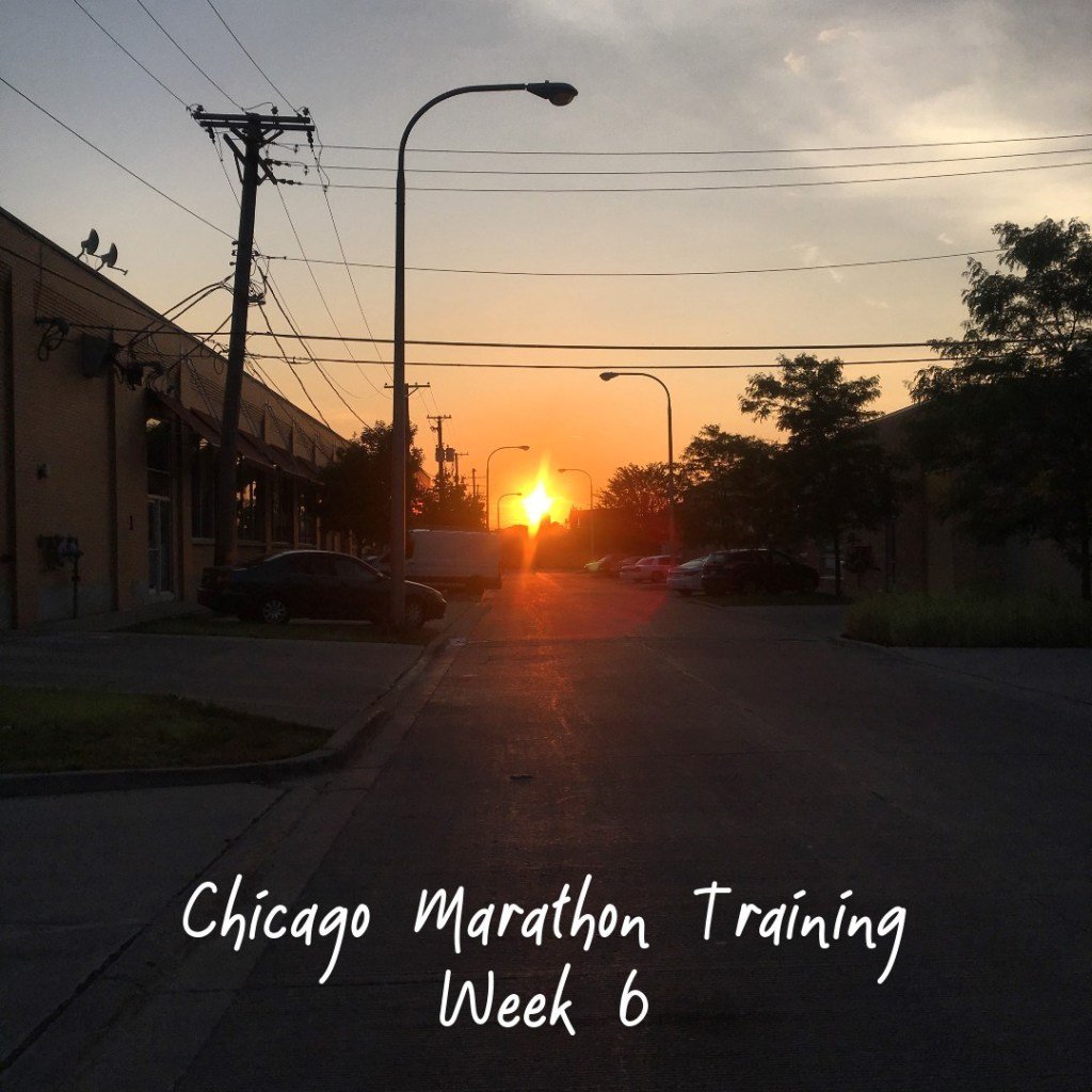 RabbitFoodRuns's tweet photo. 2019 Chicago Marathon Training Week 6 https://t.co/zz8YvbADZn https://t.co/66H1XZ8g2i