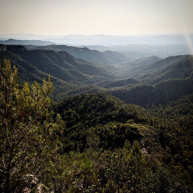 Josep_CA's tweet photo. La Vall del Montalt #Montant #SerraDeLlaberia #vall #valle #valley #Tal #bosc #bosque #forest #Wald #muntanya #montaña #mountains #Bergen #Catalunya #Cataluña #Catalonia #Katalonien #igersebre #Catalunyaexperience #viulesMCD https://t.co/SmXsEKXyr3