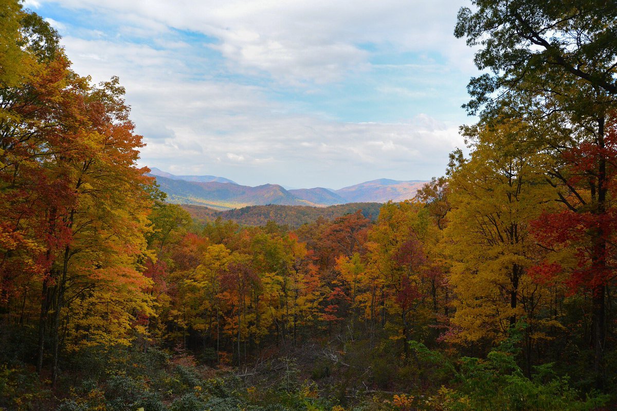 Fall in the Smokey Mountains youtu.be/NHS_M8fmfJg via <a href="/YouTube/">YouTube</a>