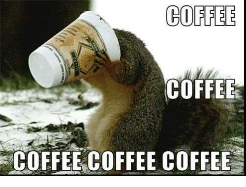 BeanHoly's tweet photo. @MWMMediaStudio Verily, my blessing upon you child. Drink deeply of my holy brew, and rejoice!
#PraiseBeans #HolyBean https://t.co/VlwuXACNKe