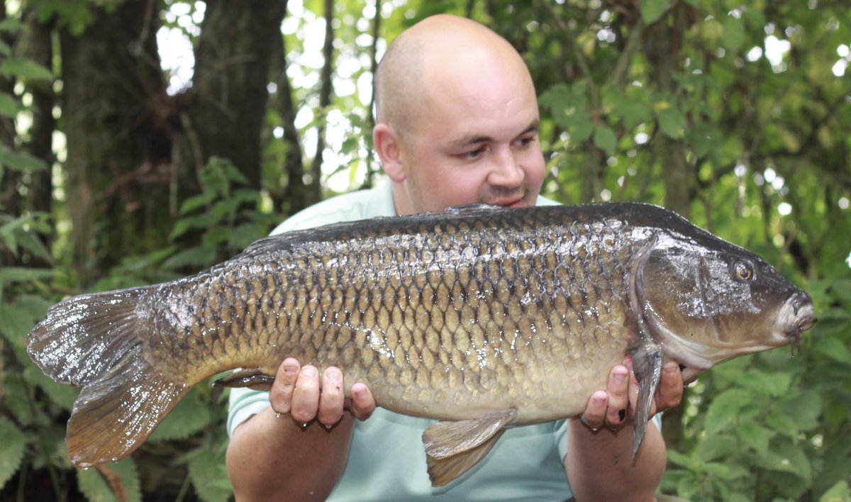 h_gammon44's tweet photo. Better pictures of the 3 fish I had on my resend trip to Farriers’s
36 common
32 mirror
18 common
Not bad for 24 hours thanks for the assist chaps #vipertackle #dstrbaits #bartonleads #carpparticlesuk #anothermirror #farriers https://t.co/nnG6iHeKNA