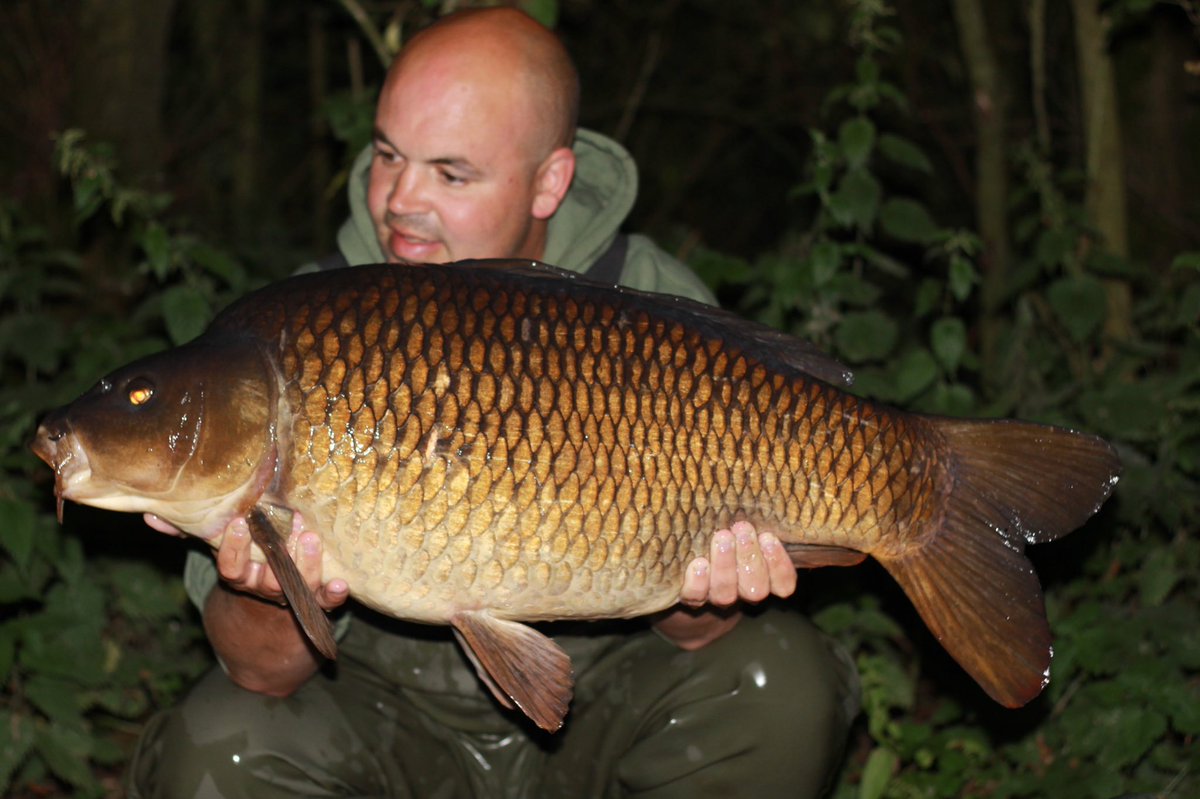 h_gammon44's tweet photo. Better pictures of the 3 fish I had on my resend trip to Farriers’s
36 common
32 mirror
18 common
Not bad for 24 hours thanks for the assist chaps #vipertackle #dstrbaits #bartonleads #carpparticlesuk #anothermirror #farriers https://t.co/nnG6iHeKNA